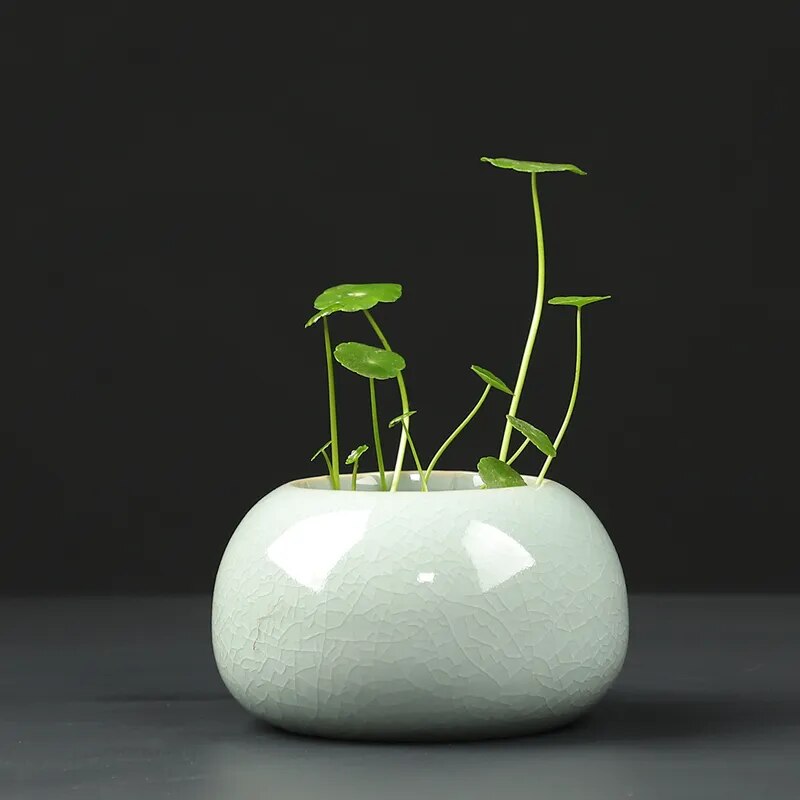 Ceramic Flowerpot